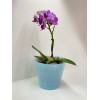 Горшок для цветов "London Orchid Mini" 1 л (голубой перламутровый)