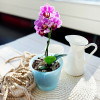 Горшок для цветов "Фиджи" Орхидея 5 л (голубой перламутр)