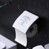 Держатель для туалетной бумаги (белый металл B3408P-S W)