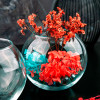 43417 Ваза (FLORA)
