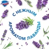Жидкое мыло "SAFEGUARD" Нежный уход Лаванда 225 мл