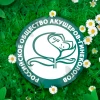 Женские гигиенические прокладки "NATURELLA" Classic Camomile Norm с крылышками (9 шт)