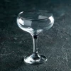 Фужер "BISTRO" для шампанского 275 мл 44136 SL