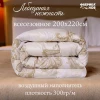 Одеяло Лебединая нежность всесезонное Евро